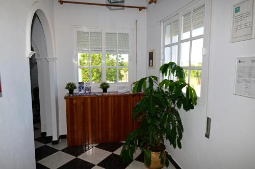 科尼尔-德拉弗龙特拉罗萨莱斯旅馆的一间设有书桌和盆栽的房间