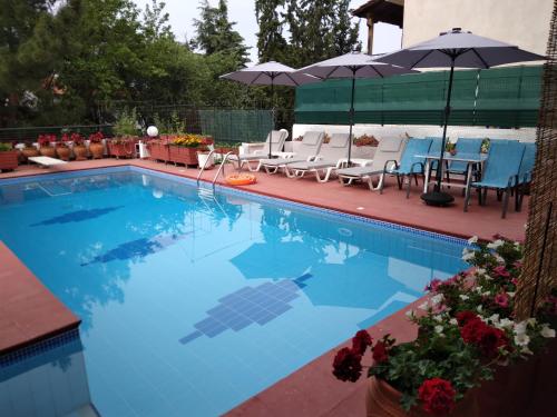 塞萨洛尼基Villa in Panorama, Thessaloniki, with a swimming pool. Host: Mr. George的游泳池上有一个乌龟纹