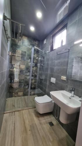 谢赫维蒂利Shekvetili Holiday House - Day Off的浴室配有卫生间、盥洗盆和淋浴。