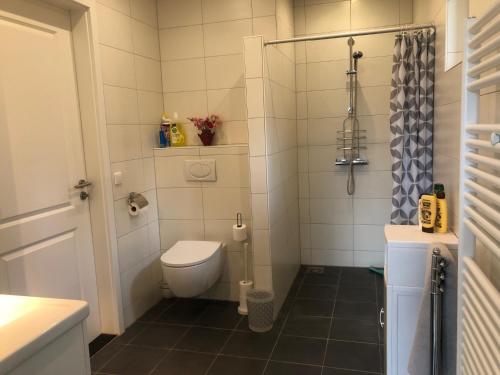 阿尔滕De Daalse Oase的一间带卫生间和淋浴的小浴室