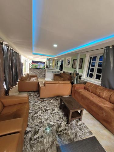 JiduDazzle Hotels and Apartments的带沙发和地毯的客厅