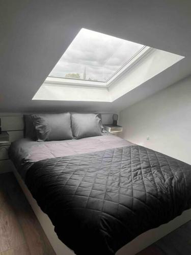 色当La Belle Etoile的一间卧室配有一张带天窗的大床
