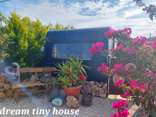 干尼亚Dream Tiny House or Luxus Tent with pool的停在一束鲜花旁边的蓝色小房子