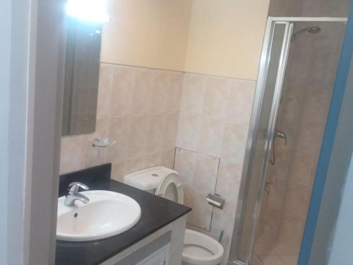 科伦坡Rudra Residence Apartment的一间带水槽和卫生间的浴室