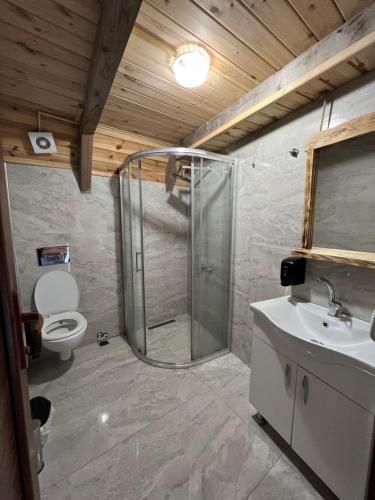 贾马里海姆森Nirvana dağ evleri的带淋浴、卫生间和盥洗盆的浴室