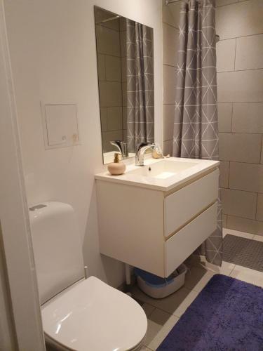 希勒勒Pegasus Bed & Breakfast的一间带水槽、卫生间和镜子的浴室