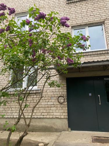 奥格雷Studio apartment Ogre的一座建筑物前有紫色花的树