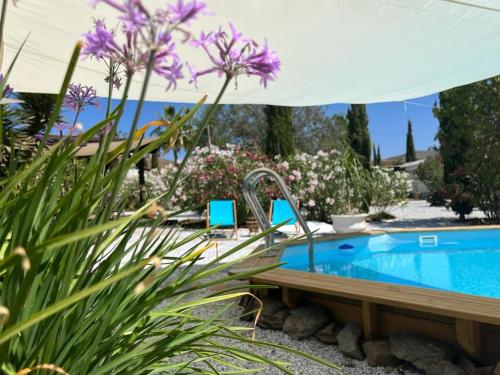 贝纳哈拉菲Darjas Yurtas el Morisco的一个带两把蓝色椅子和鲜花的游泳池