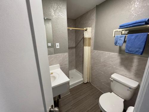 圣贝纳迪诺Starlite Motel的浴室配有白色卫生间和盥洗盆。