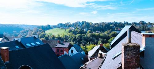 ThuinOPALENSIA的享有拥有房屋和树木的城镇的空中景致