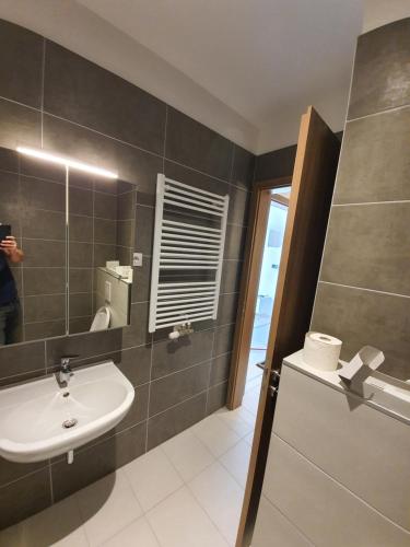 布达佩斯SDP Meder B401 Apartment的一间带水槽和镜子的浴室