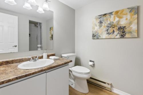 蓝山Mountain View Wintergreen Home 84140的白色的浴室设有水槽和卫生间。