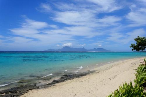 普纳奥亚Vaiava Beach Carlton- Tahiti - beachfront luxury residence & pool - 4 pers的海滩,以海洋和山脉为背景