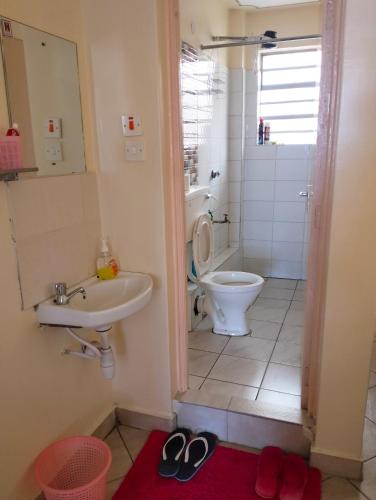 内罗毕Mysolution homes, South B的一间带卫生间和水槽的浴室
