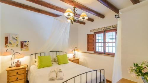 比纽埃拉Casa de Juanito Viñuela by Ruralidays的一间卧室配有一张带绿色枕头的床和一扇窗户