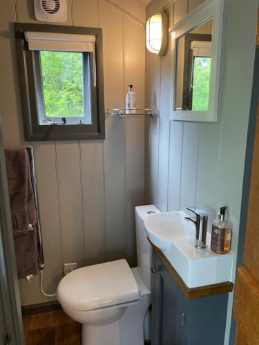 巴特尔Greatwood Shepherds Hut的一间带卫生间和水槽的小浴室