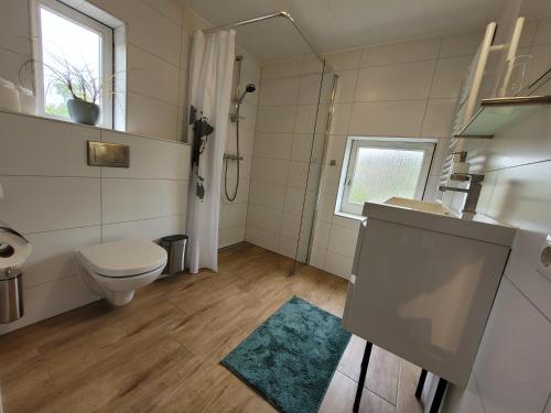 羊角村B&B Villa Giethoorn - canalview, privacy & parking的一间带卫生间、水槽和窗户的浴室