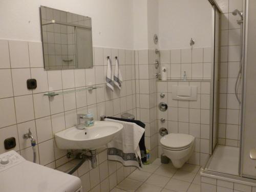 斯洪保因霍泰Ostsee Ferienwohnung in Schönberg inkl. 2 Leihfahrräder的一间带水槽、卫生间和淋浴的浴室