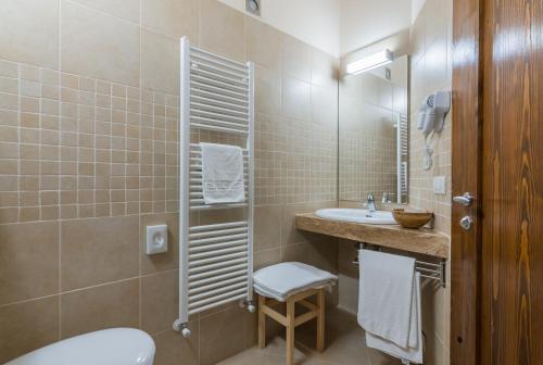 圣阿尔坎杰洛-迪罗马涅Collina dei Poeti的一间带卫生间、水槽和镜子的浴室