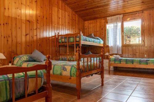 Bayubas de AbajoLas Casitas del Pinar的小屋内设有一间带两张双层床的卧室