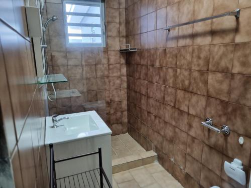 威廉斯塔德Angola Apartment B的一间带水槽和淋浴的浴室