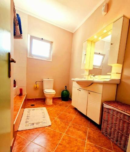 利萨基亚LECÉLESTE的一间带卫生间、水槽和镜子的浴室