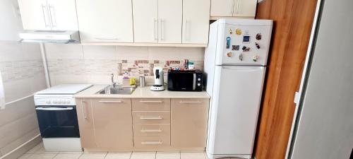 布加勒斯特Perfect View Apartament的小厨房配有白色冰箱和水槽