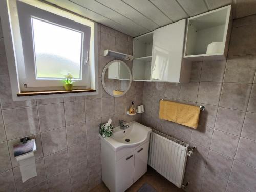 班斯卡比斯特里察Cottage Zoja的一间带水槽和镜子的浴室