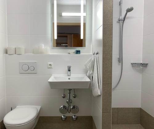 因泽尔基姆高公寓酒店的浴室配有卫生间、盥洗盆和淋浴。