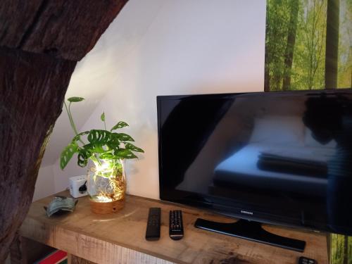 第戎La Cascade et des Halles的木桌上的平面电视,植物