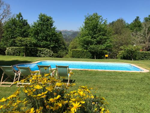阿尔库什迪瓦尔德维什Treehouse Quinta Lamosa的庭院内的游泳池,带椅子和鲜花