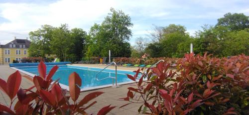 巴拉顿城堡Éden apartman的前面有一个红色植物的游泳池