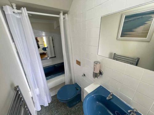 厄萨利Todday Snug Self Catering Studio的浴室设有蓝色的卫生间和水槽。