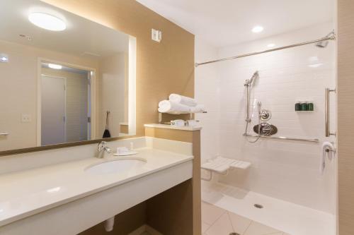 阿默斯特Fairfield Inn & Suites by Marriott Buffalo Amherst/University的一间带水槽、卫生间和镜子的浴室