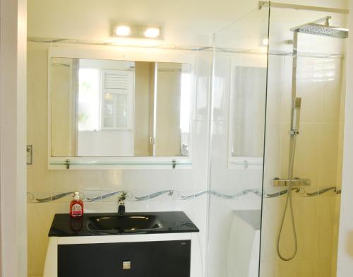 勒罗贝尔La villa Hibiscus的浴室配有盥洗盆和带镜子的淋浴