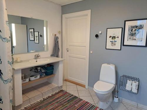 吉弗Hyggelig ferielejlighed i Harresø的浴室配有白色卫生间和盥洗盆。