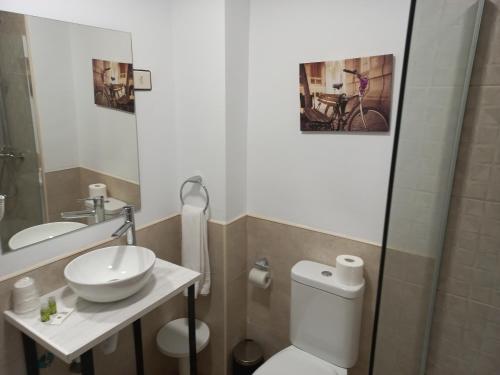 赫尔特HOTEL LOS ARENALES DE JERTE的一间带卫生间、水槽和镜子的浴室