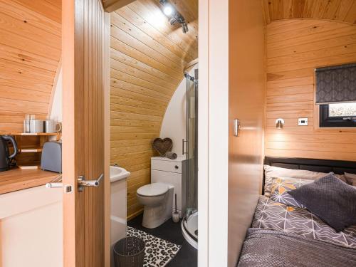 拉努辛Cae Bitfel - Uk37082的一间带卫生间和水槽的小浴室