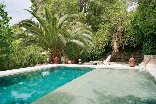 巴尔德莫萨巴尔德莫萨米拉伯酒店的棕榈树庭院中的游泳池
