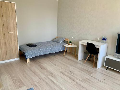 叶卡布皮尔斯Modern Apartment in Jekabpils的一间卧室配有一张床、一张书桌和一台电视。