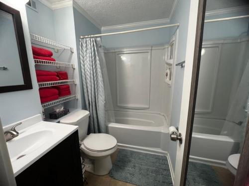 默特尔比奇C Level Condo的浴室配有卫生间、盥洗盆和淋浴。