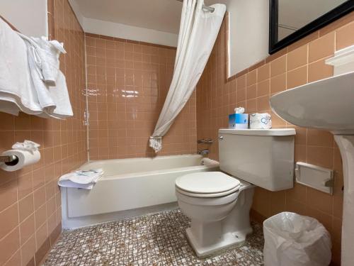 默特尔比奇Polynesian Oceanfront Hotel的浴室配有卫生间、浴缸和水槽。