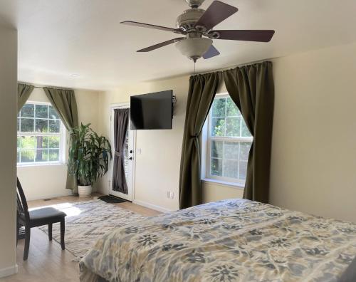 普莱瑟维尔Vineyard Views 2BR House in Placerville, California的一间卧室配有一张床和吊扇