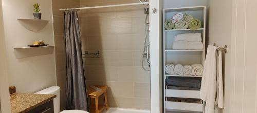 基洛纳WineDownHere - Lic. 75806的带淋浴、卫生间和毛巾的浴室
