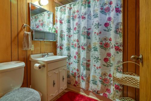 Twain HarteCalifornia Retreat Near Yosemite National Park!的浴室配有淋浴帘和盥洗盆。