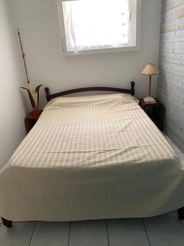 圣安娜Bungalow Belfond Plage Pointe Marin的卧室内的一张大床,设有窗户