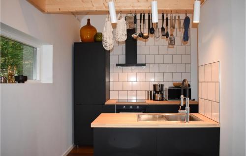 Östra SönnarslövLovely Home In stra Snnarslv With Kitchen的厨房配有水槽和台面