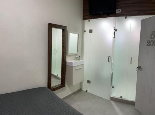 托雷翁Bed Bed Hotel Abasolo的一间带水槽和镜子的浴室以及一张床