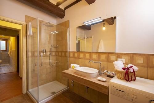 蒙泰斯佩尔托利Villa I Leoni的一间带水槽和淋浴的浴室