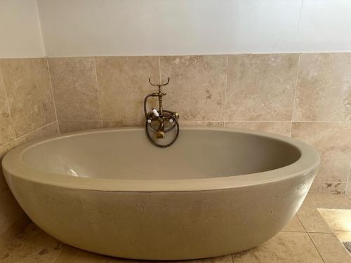 克拉伦斯Thula Guest Farm的浴室内设有一个大浴缸
